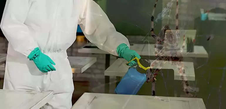 Why Buyers Still Want Homes With Pest Infestations in Winston-Salem, NC?